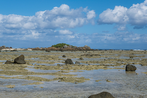 Amami Oshima's Tomori coast where the tide is low and the rocky area is exposed