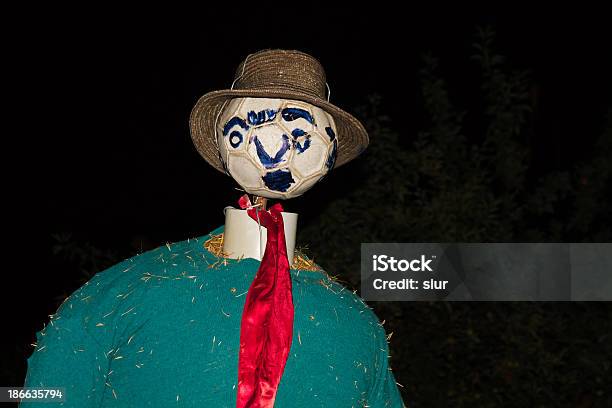 Scarecrow Espantapajaros Stock Photo - Download Image Now - Agriculture, Bird, Boho