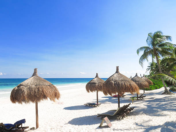 istock Huts on a sandy beach with palm trees in the background 186635898