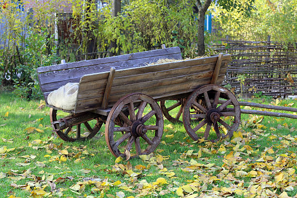 istock Wooden carriage in garden 186635936