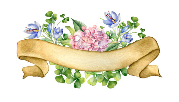 Ribbon banner with shamrock and spring flowers watercolor illustration isolated on white. Painted clover, crocus flowers. Happy Birthday ribbon material. For St.Patricks day, Easter, mother day Ribbon banner with shamrock and spring flowers watercolor illustration isolated on white. Painted clover, crocus flowers. Happy Birthday ribbon material. For St.Patricks day, Easter, mother day. irish birthday blessing stock illustrations