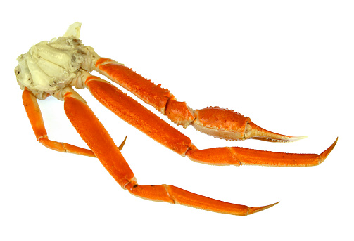 close up on snow crab leg isolated on white background