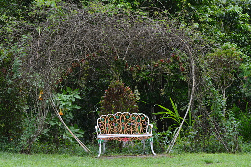 photo of a bench in the park