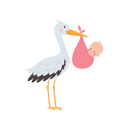 Stork carrying a cute newborn baby in a pink diaper. It's a girl. Cartoon lovely characters for greeting birthday card, baby announcement. Stork delivery a daughter vector illustration