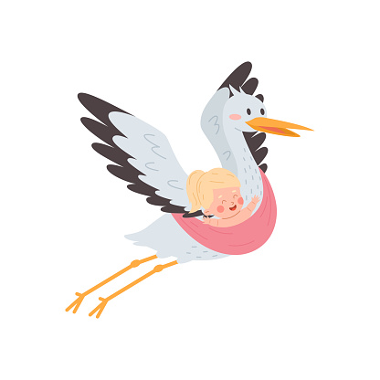 Stork carries baby in pink textile, cartoon style vector illustration isolated on white background. Big happy bird fly and holds a bundle with a child girl. Children or baby shower party design