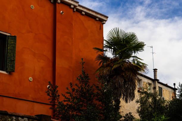 istock Red facade building with a palm tree in Venice, Italy 1866505813
