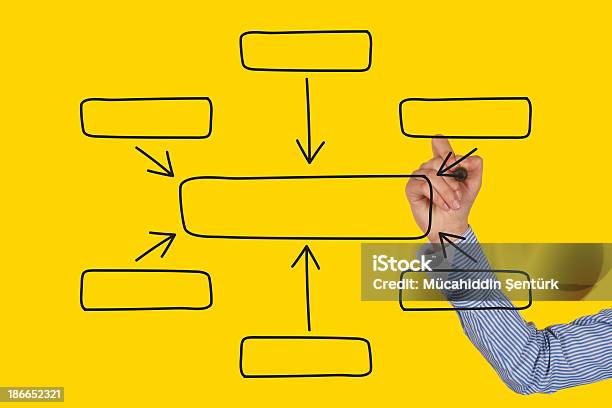 Businesswoman Drawing An Organization Chart Stock Photo - Download Image Now - Absence, Adult, Advice