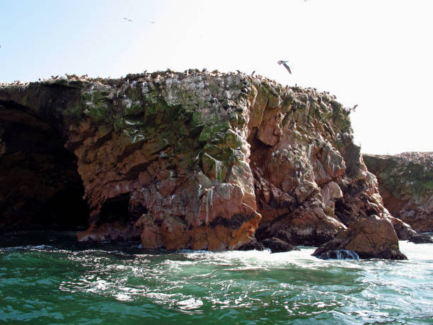 istock Rocks with animals in the Pacific ocean, Paracas, Peru 1866534174