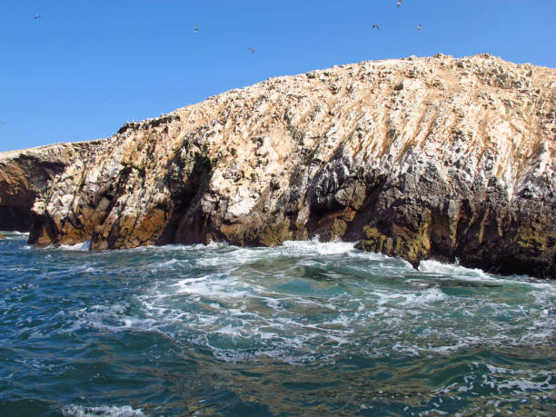 Rocks with animals in the Pacific ocean close Paracas, Peru