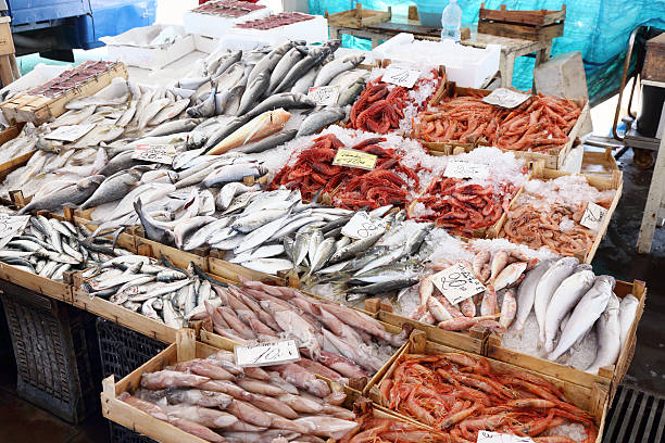verschiedene meeresfrüchte - fish fish market catch of fish market stock-fotos und bilder