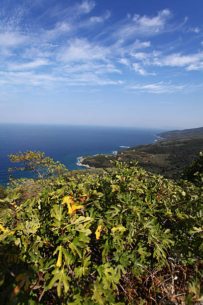 istock Pelion east coast 186653886