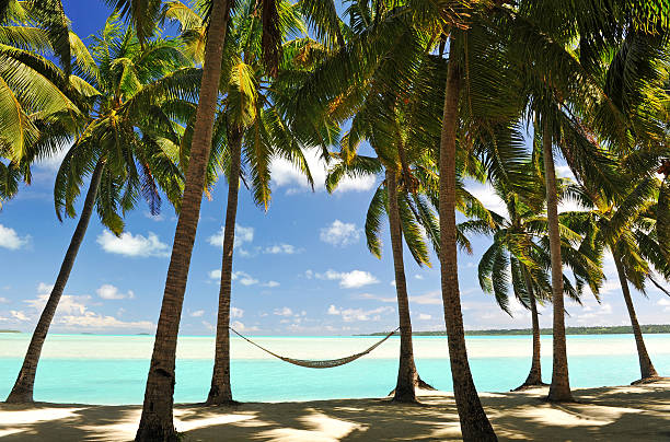 Paradise Destination Palm fringed tropical beach with hammock  in semi- silhouette barbados stock pictures, royalty-free photos & images