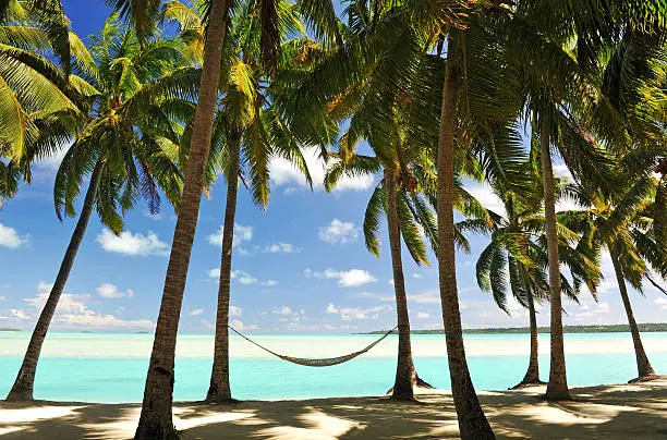 Palm fringed tropical beach with hammock  in semi- silhouette