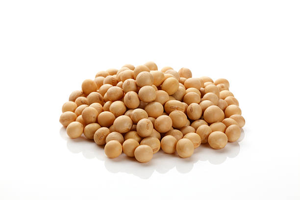 istock Close up of soy beans 186654739
