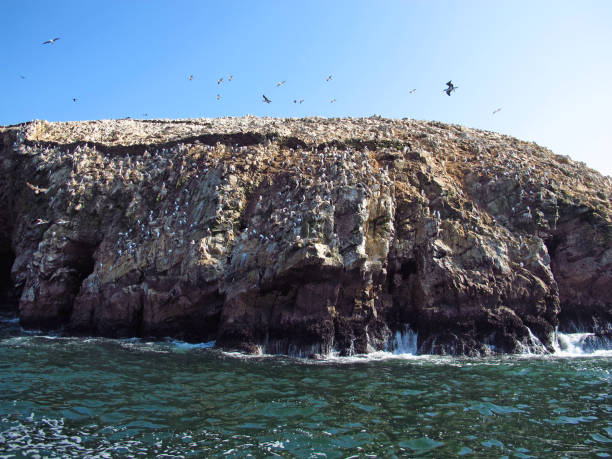 istock Rocks with animals in the Pacific ocean, Paracas, Peru 1866547619