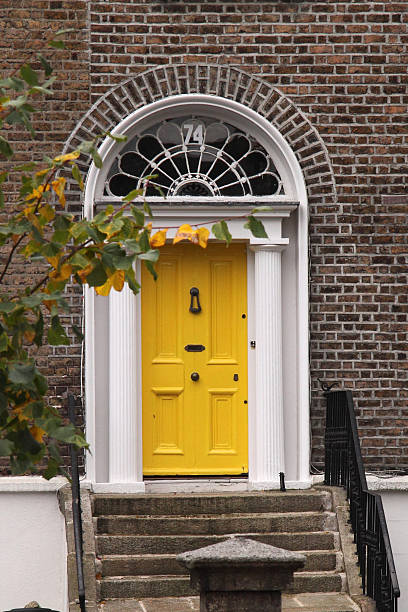 istock Yellow Dublin door in Autumn 186658460