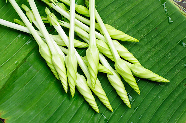 Ipomoea alba L. / Edible flowers. on banana leaf background stock photo