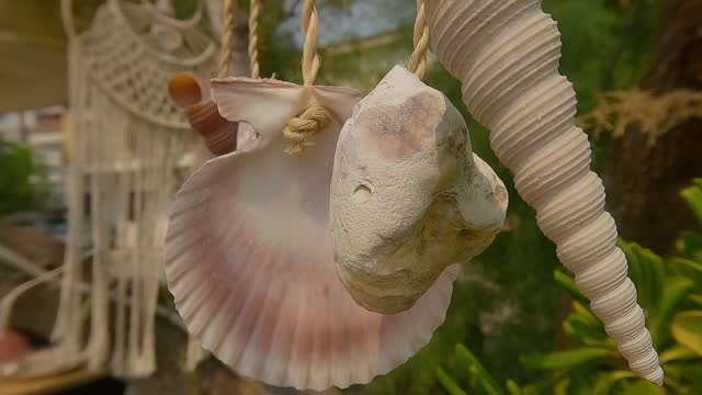 Beautiful shell decoration,close up -b roll