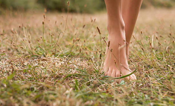 istock Young female legs walking on the grass 186659635