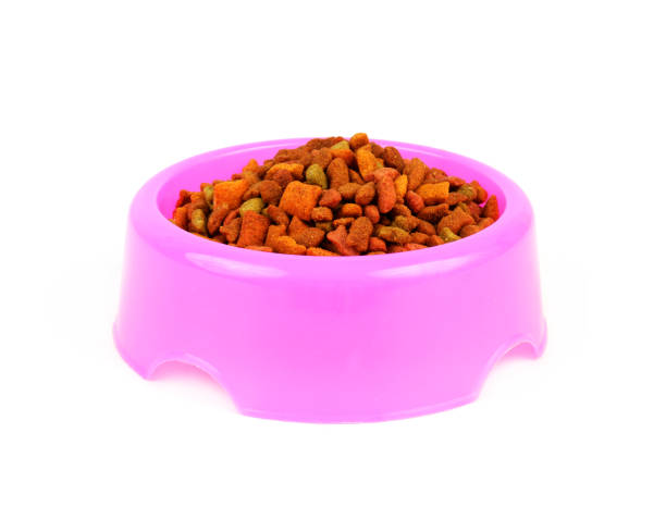 istock Bowl with cat food isolated on white 1866613500