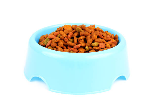 istock Bowl with cat food isolated on white 1866614032