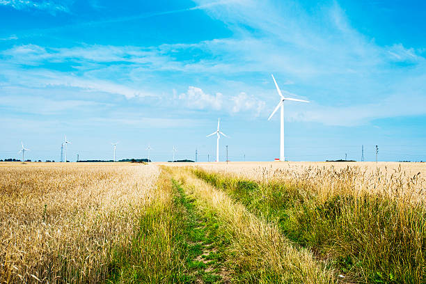 istock field and wind turbine 186661719