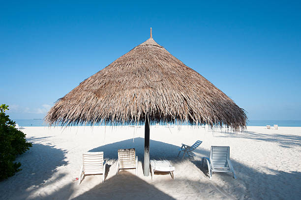 istock straw sunshade on a Maldives beach 186662050