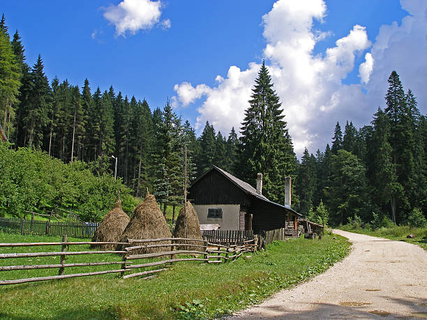 Summer day in Carpathian Mountains, Predeal, Romania. There is a little cottage, three hay ricks  in front of  a forest with fir trees