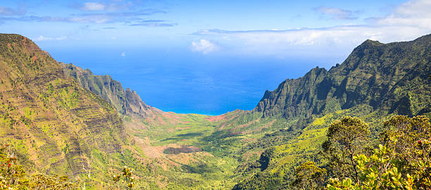 istock Kalalau Valley panorama, Kauai, Hawaii 186663644