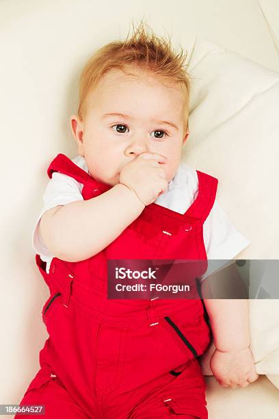 Süßes Baby Stockfoto und mehr Bilder von 0-11 Monate - 0-11 Monate, 2-5 Monate, 6-11 Monate