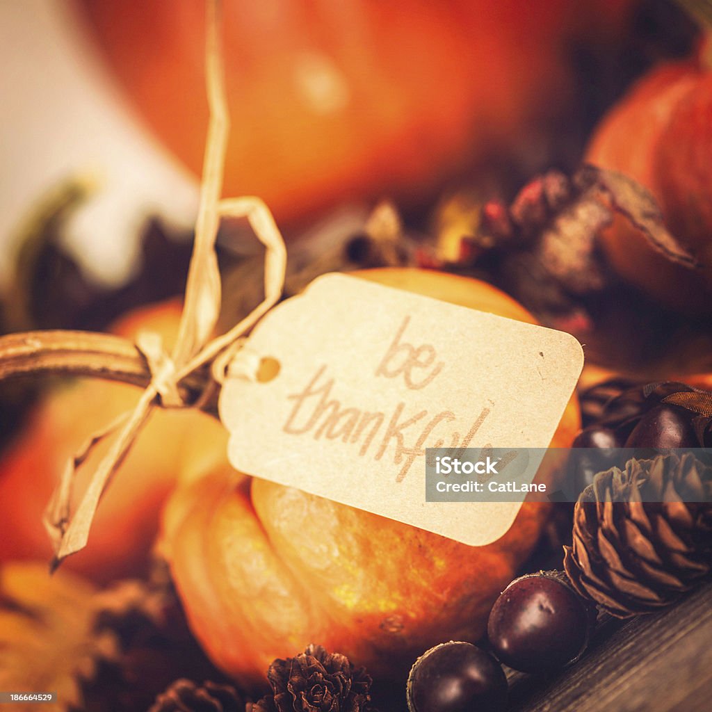 Thanksgiving Decorations Thanksgiving - Holiday Stock Photo