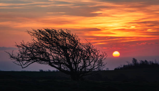 istock Butts Brow Sunrise South Downs 1866647444