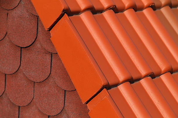 istock Terracotta roof tiles 186664917