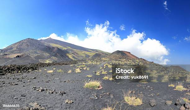 Base Do Vulcão Etna - Fotografias de stock e mais imagens de Ao Ar Livre - Ao Ar Livre, Arbusto, Beleza natural