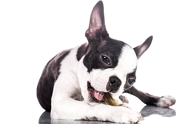 istock Enjoying the food 186666946
