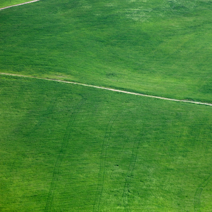 Aerial view of farm road between green fields.\u2028http://www.massimomerlini.it/is/nature.jpg