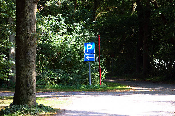 istock parking sign in a forrest, the Netherlands 186668010