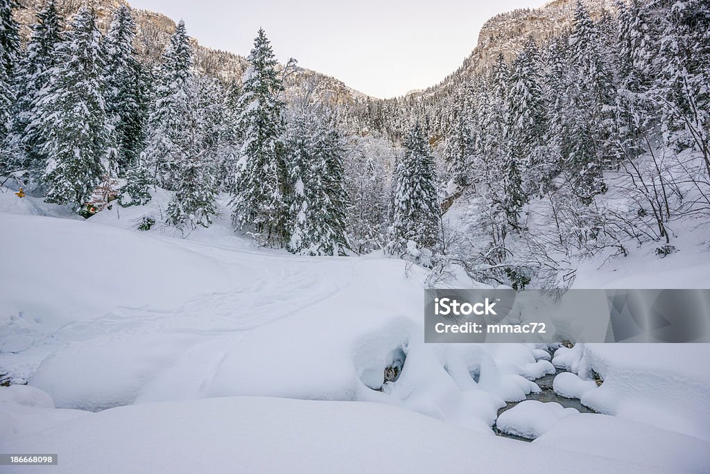 Paysage d'hiver avec la neige et arbres - Photo de Alpes européennes libre de droits