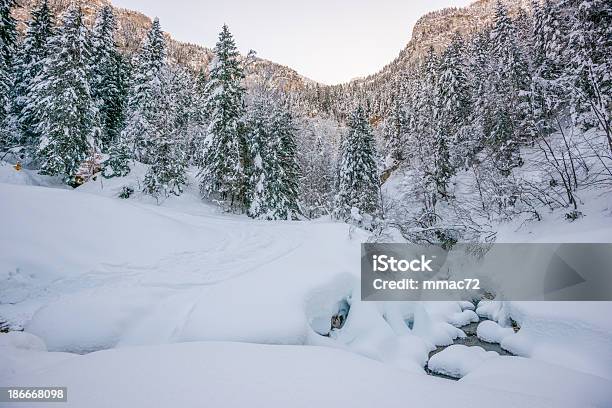 Photo libre de droit de Paysage Dhiver Avec La Neige Et Arbres banque d'images et plus d'images libres de droit de Alpes européennes - Alpes européennes, Arbre, Arbre à feuilles persistantes