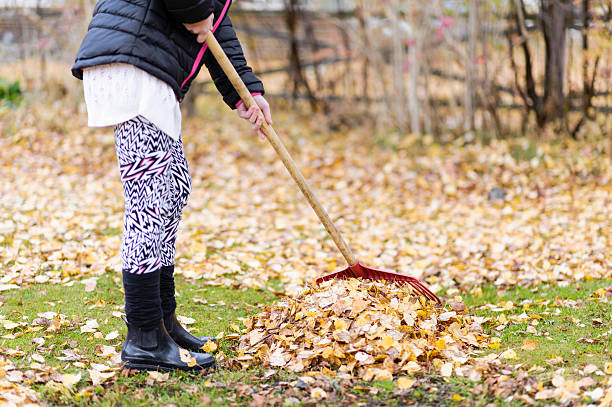 istock Young girl with a red rake, picking up leaf 186668127