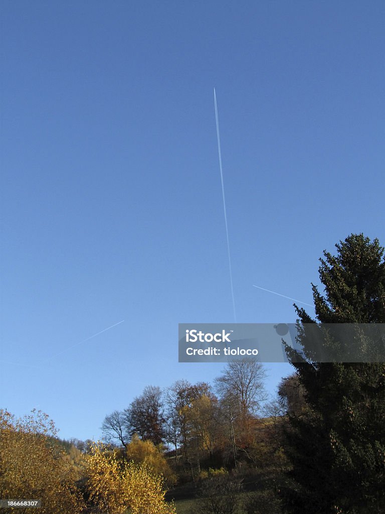 Fusée de lancement ? - Photo de Arbre libre de droits