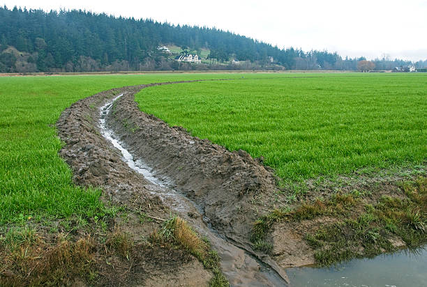 순환마사지 도랑 겹쳐지며 필드 및 새로운 homes in 스캐짓 밸리 - drainage ditch 뉴스 사진 이미지