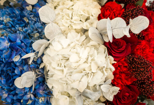 istock French flag made of flowers 1866685031