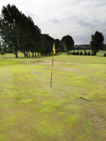 this is a public golf course in a park in Warwick, warwickshire, england uk. The course is parched after a long period of drought during a summer heatwave.