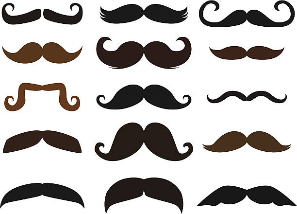 Set of Mustaches A vector illustration of fifteen different mustaches. Each mustache is grouped separately. Use one or all fifteen! animal whisker stock illustrations