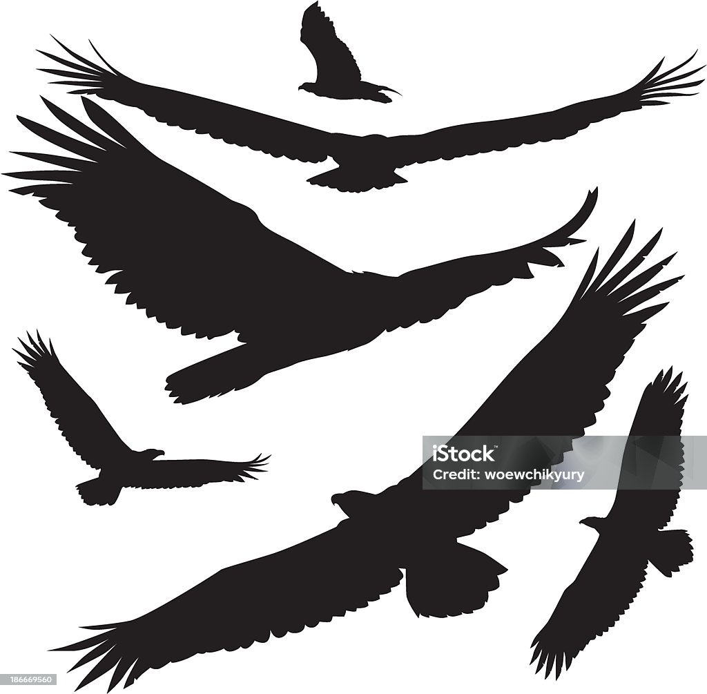 vector silhouettes eagle silhouettes soaring eagle Eagle - Bird stock vector