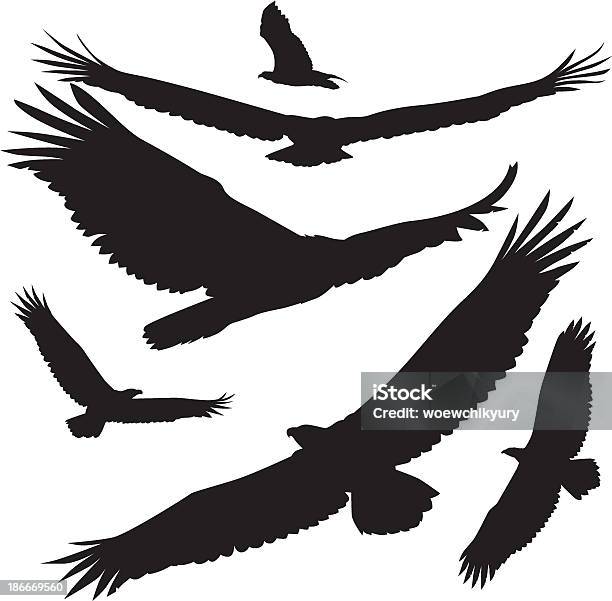 Vector Silhouettes Eagle Stock Illustration - Download Image Now - Eagle - Bird, In Silhouette, Flying