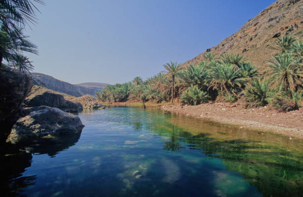 istock Wadi Desmo Socotra Island 1866701764