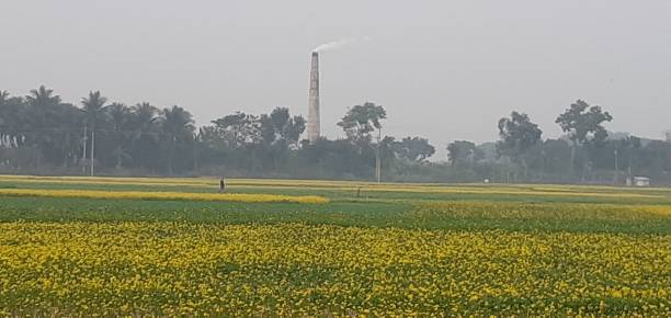 istock Mustard field beside fictitious 1866709764