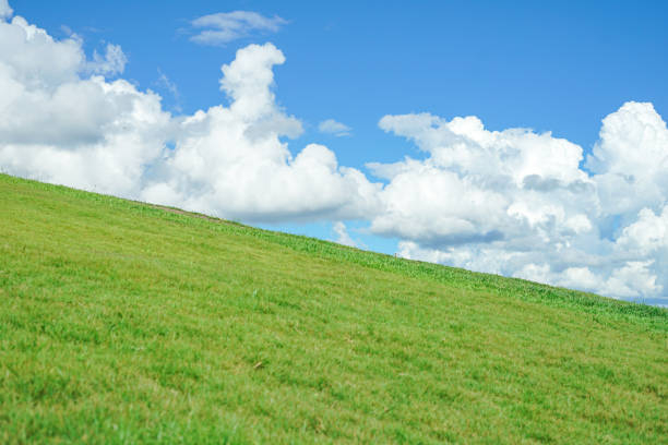 istock Blue sky and cloud across green grass mountain background. 1866710080